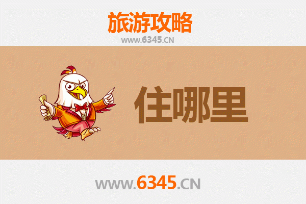 沧州肃宁旅游民宿攻略：古韵与现代交融的沉浸式体验